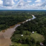 MATERIA PRIMA. Antes de llegar hasta un centro de transformación primaria, la madera puede recorrer cientos de kilómetros por río o carretera. 