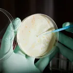 MICROORGANISMOS. Bacterias intrahospitalarias se pueden multiplicar en ambientes que no respetan protocolos.