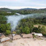 SOLOS. Los defensores ambientales son los primeros en la línea de choque y de protección contra las actividades ilegales. Vista de la Amazonía brasileña.