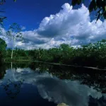 PREOCUPACIÓN. En diciembre pasado, antes de su vigencia, el Serfor alertó al Midagri sobre las consecuencias de un dictamen que planteaba cambios en la Ley Forestal. 