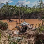 ADVERTENCIA. Estudio publicado en Nature advierte de la fragilidad del bosque amazónico. En Perú, la minería es una de sus principales amenazas.