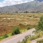 HUMEDAL LUCRE HUACARPAY. Este sitio Ramsar ubicado en la provincia de Quispicanchi, Cusco, soporta el avance desorganizado de construcciones urbanas.