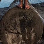 TALA. El algoritmo de OjoPúblico pondera los riesgos de comercio ilegal de madera amazónica.