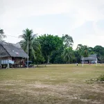 DECLARACIÓN. La empresa Ocho Sur niega cualquier relación con la pérdida de bosques en Ucayali, región donde tiene sus actividades en el sector de palma aceitera. 