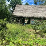 COMUNIDAD FANTASMA. En visitas de inspección realizadas este año por entidades públicas y ciudadanas, se comprobó que Manitzi está deshabitada.