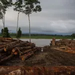 PENDIENTE. Desde mayo del año pasado, con una demanda presentada al Poder Judicial, el Produce se niega a entregar datos sobre empresas madereras. 