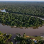 AMAZONÍA. El 39% de las 27,8 millones de hectáreas que almacenan la mayor cantidad de carbono en la Amazonía están amenazadas.