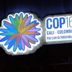 COP16. En la cumbre de biodiversidad en Cali, Colombia, se debate un mecanismo técnico, pero clave para los países en desarrollo.