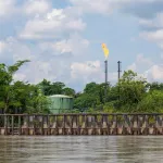 YASUNI. En 2023, un referéndum histórico determinó el fin de la actividad petrolera en este parque nacional de Ecuador, pero hasta ahora el gobierno no cesa en las operaciones.