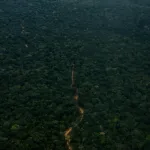 DESAFÍO. La pérdida de acceso a imágenes satelitales de alta resolución dificulta el monitoreo efectivo de la deforestación en la Amazonía peruana.