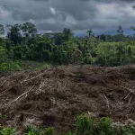 PROTECCIÓN. La ley forma parte del Pacto Verde Europeo, la estrategia de la Unión Europea para transformar su economía.