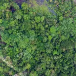 MINERÍA. Más de la mitad de las concesiones metálicas en San Martín y Amazonas se superpone con áreas naturales y zonas restringidas.
