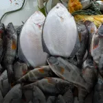 DECLIVE. La captura de choros se desplomó en los últimos 10 años, el lenguado enfrenta una reducción de su talla. 