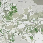 Especial elecciones 2026