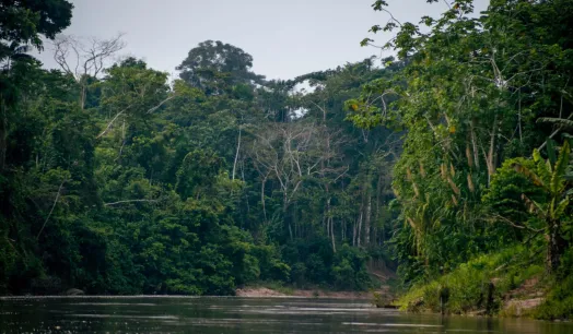 COSMOVISIÓN. Para los wampis y awajún existen tres mundos: agua, cielo y tierra.  La deidad de este último es Nunkui.
