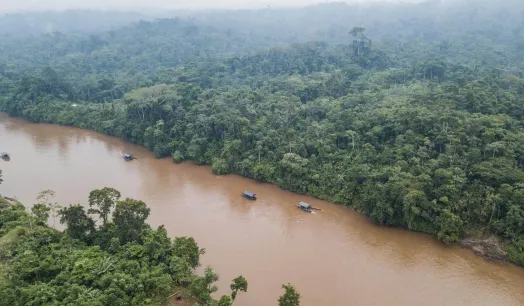DESAFÍO. Ecosistemas como el de la Amazonía se están convirtiendo en herramientas de financiamiento y lavado de dinero de actividades delictivas.