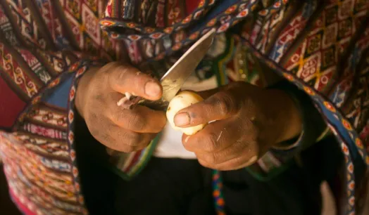 DESBALANCE. En la cocina peruana hay un desbalance de poder, similar a la relación entre la diseñadora Anís Samanez y la comunidad shipibo-konibo, sostiene la autora. 