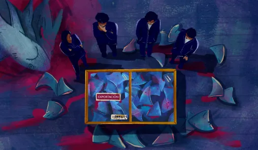 INVESTIGADOS. Funcionarios de Produce y  tres exportadoras de aletas de tiburón están involucrados en investigación fiscal sobre permisos irregulares para enviar este recurso al exterior.