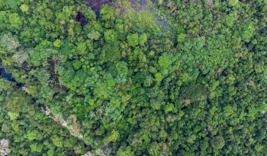 MINERÍA. Más de la mitad de las concesiones metálicas en San Martín y Amazonas se superpone con áreas naturales y zonas restringidas.