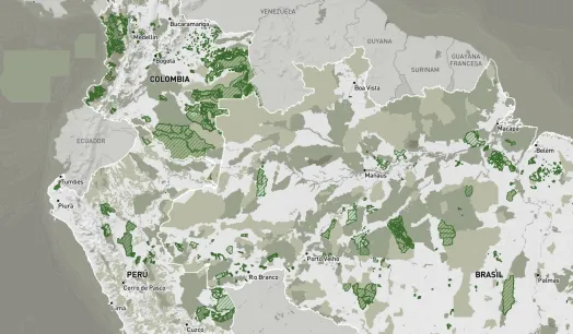 Especial elecciones 2026