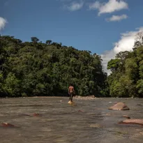 ESCENARIOS. Estudio advierte que el territorio del pueblo indígena kakataibo en Perú es una zona de muy alta presión por parte de invasores.