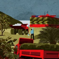 RIESGOS. En el último año, las exportaciones de materias primas de la Amazonía aumentaron pero no hay claridad sobre la sostenibilidad de su origen.