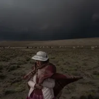 OLVIDO. La cadena productiva de la alpaca no resulta rentable para las familias que crían rebaños pequeños, pero la mayoría de productores en Perú lo son.