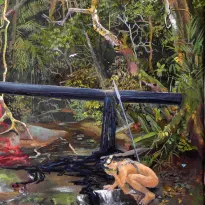 Pueblos en Aislamiento Voluntraio