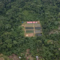 AVANCE. En 2022, según el último reporte oficial, la pérdida de bosques de la Amazonía peruana aumentó en 11%, respecto al 2021. 