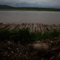 DIFERENCIAS. El Organismo de Supervisión de Recursos Forestales tiene un índice de ilegalidad inferior a los resultados de dos algoritmos presentados en los últimos meses.