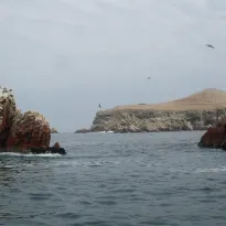 ALERTA. Entre 2020 y 2021, 11 pesqueras fueron sancionadas en primera instancia por pescar en la Reserva de Paracas. Si decreto prospera, la mayoría podría quedar impune.