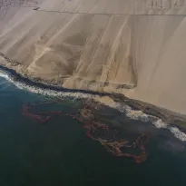 MANCHA. El Minam firmó un contrato con Grupo Palomares para que realice el estudio de valoración económica del derrame de petróleo, pese a que la empresa trabajó para Repsol.