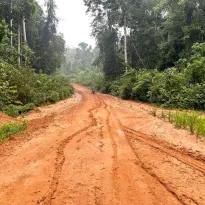 PRESENTE. En zonas aledañas a la vía Nueva Italia - Puerto Breu hay presencia de tráfico de madera, cultivo ilegal de hoja de coca y narcotráfico con dirección a Brasil.