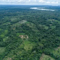 DEFORESTACIÓN. Un paquete de 12 iniciativas legislativas es cuestionado por organizaciones indígenas y ambientales por su posible impacto en la Amazonía.